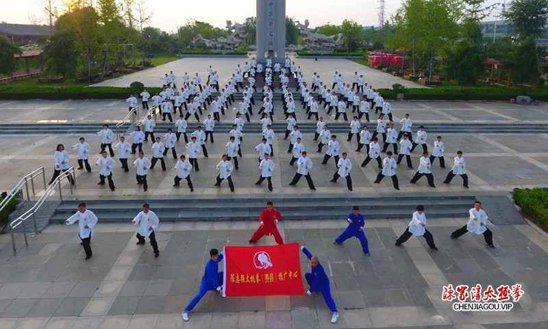 陈志强：扎根花都二十余载，孜孜不倦传太极