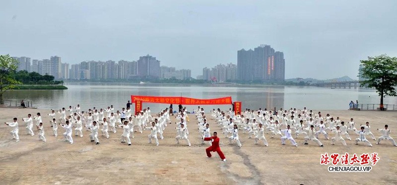 陈志强：扎根花都二十余载，孜孜不倦传太极