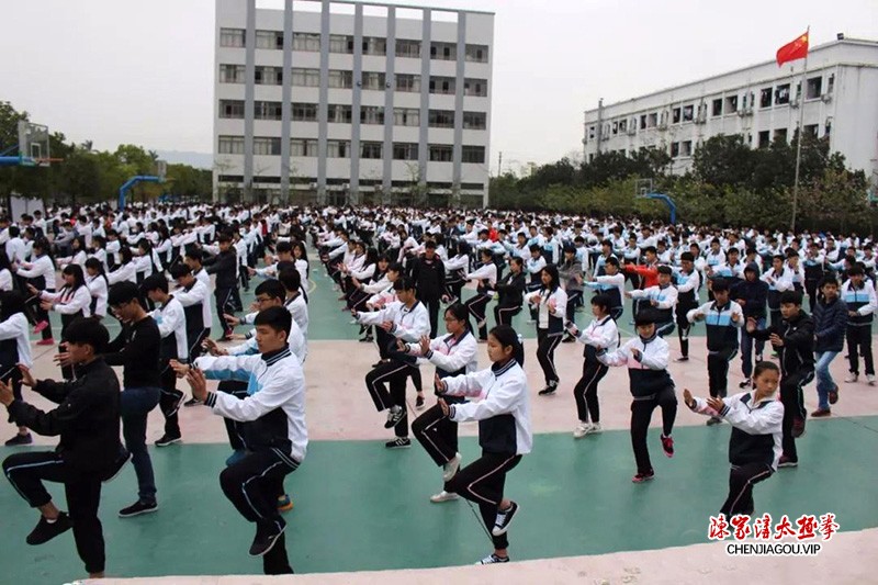 陈志强：扎根花都二十余载，孜孜不倦传太极