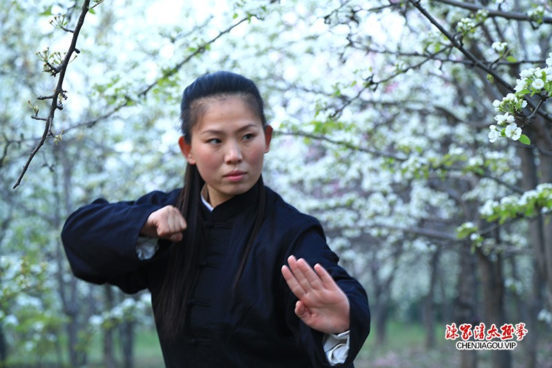 太极名师乔莲洁功夫掠影