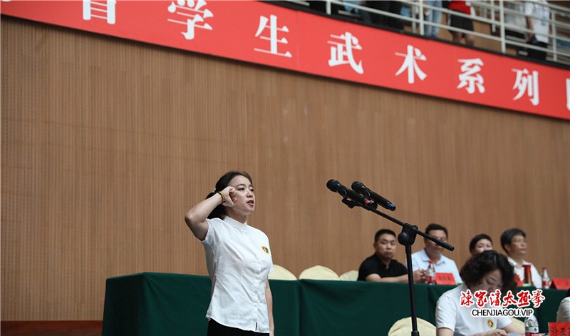 河南省大学生第十六届武术锦标赛开幕式在陈家沟隆重举行