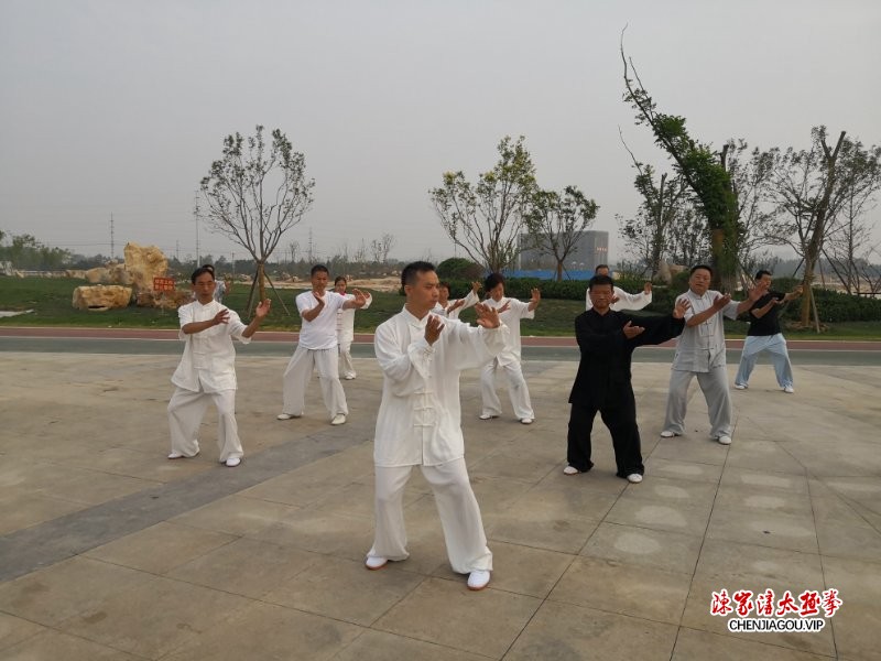 张文强获得高级国际太极拳推广拳师资格证