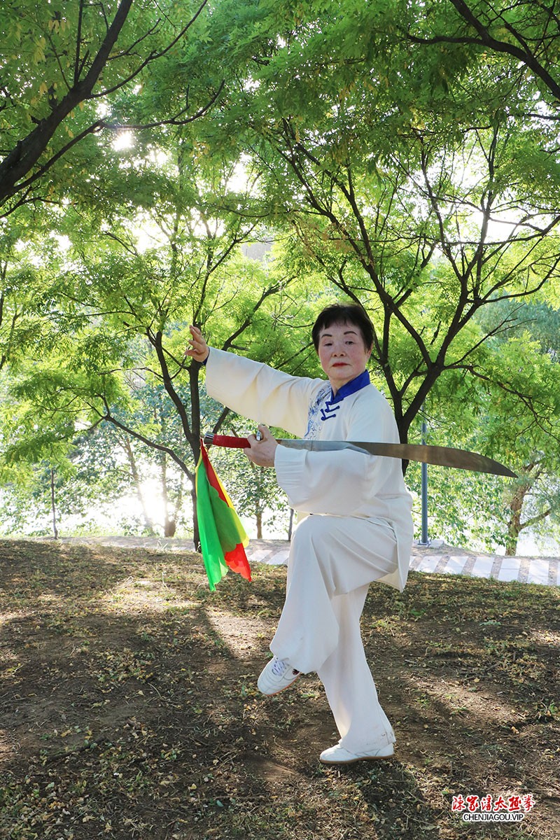 潘趁意获得高级国际太极拳推广拳师资格证