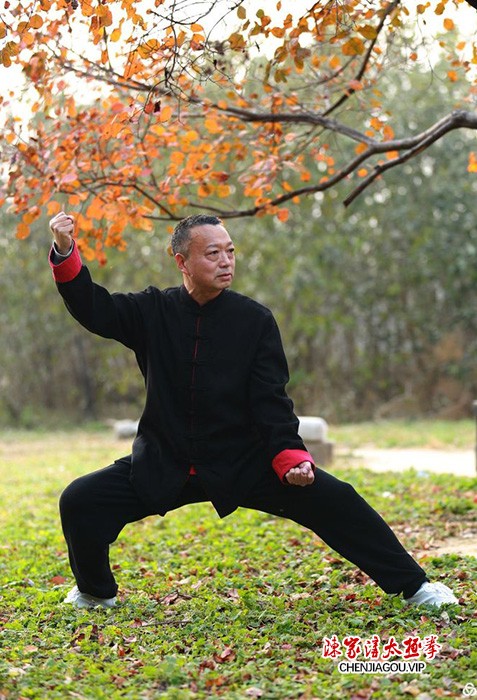 传播太极 亮剑风采——孟州太极名师王剑军功夫掠影