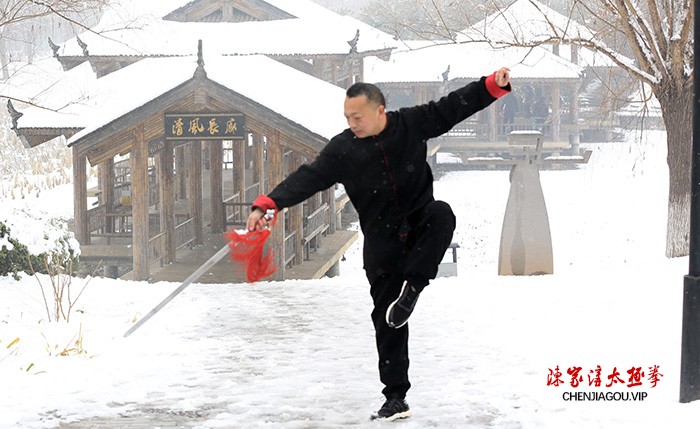 传播太极 亮剑风采——孟州太极名师王剑军功夫掠影