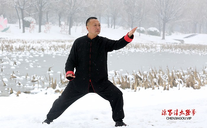 传播太极 亮剑风采——孟州太极名师王剑军功夫掠影