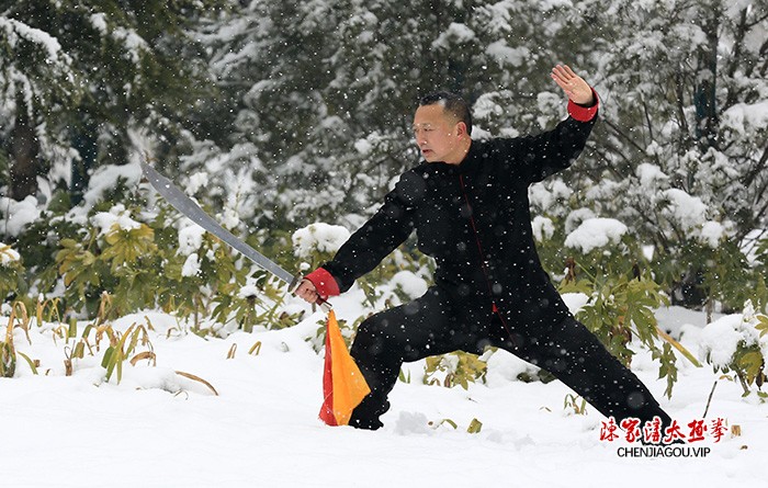 传播太极 亮剑风采——孟州太极名师王剑军功夫掠影