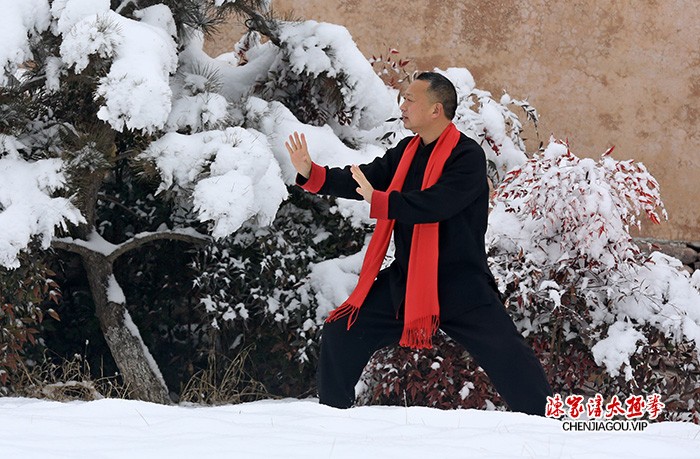 传播太极 亮剑风采——孟州太极名师王剑军功夫掠影