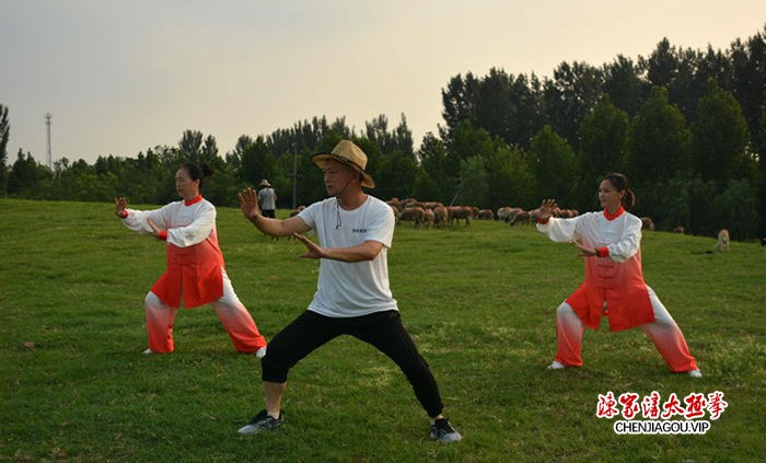 传播太极 亮剑风采——孟州太极名师王剑军功夫掠影