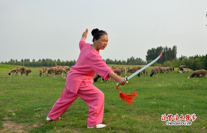 传播太极 亮剑风采——孟州太极名师王剑军功夫掠影