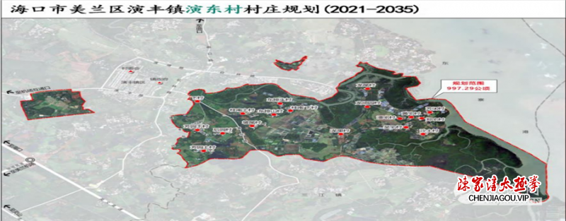 中国武术协会副主席吴彬与海南省太极拳研究会会长林号营探讨太极拳产业发展之路