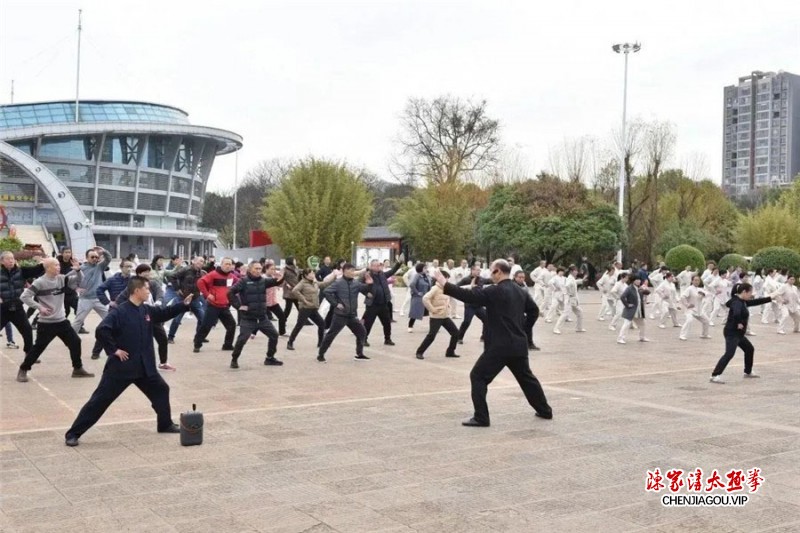 云南泸西举办太极拳公益培训，百余人跟随名师杨合发练拳忙