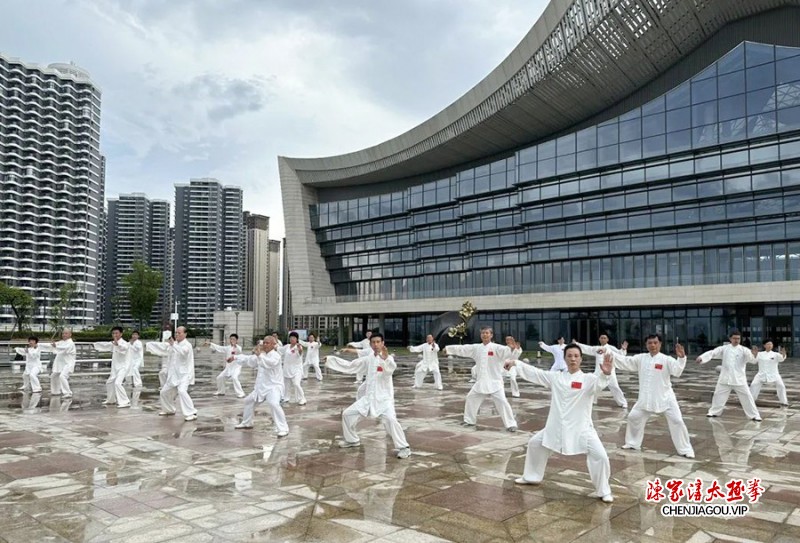 多彩非遗 魅力太极——尚武太极成功举行“文化和自然遗产日”展演活动