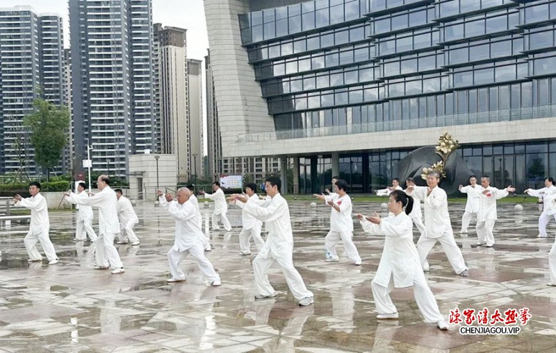 多彩非遗 魅力太极——尚武太极成功举行“文化和自然遗产日”展演活动