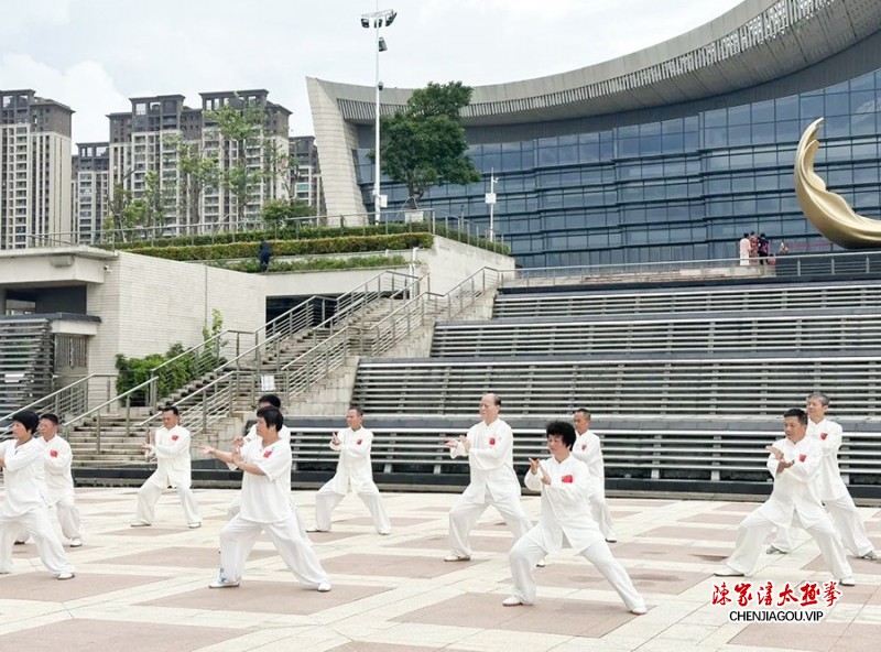 多彩非遗 魅力太极——尚武太极成功举行“文化和自然遗产日”展演活动