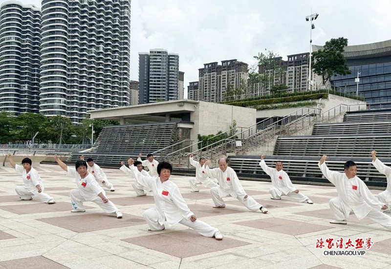 多彩非遗 魅力太极——尚武太极成功举行“文化和自然遗产日”展演活动