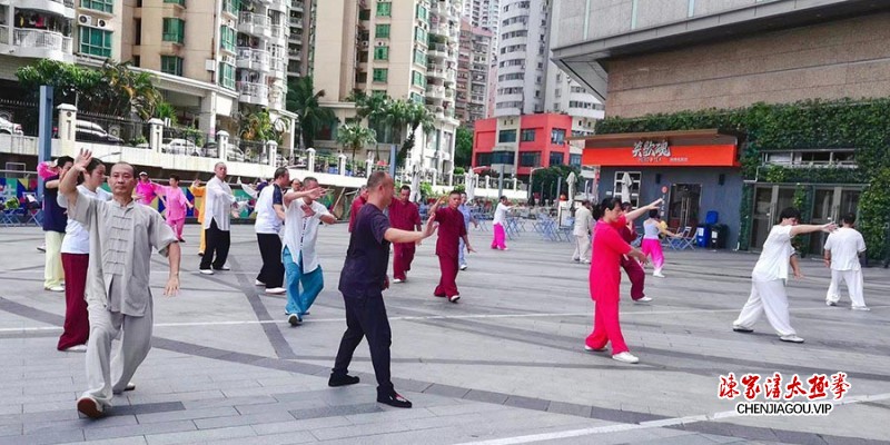 陈氏太极拳第十一代传人李雨樵谱系传承典礼在深圳举行