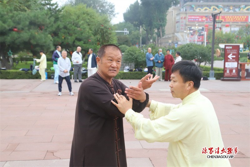 承德市陈氏太极拳指导站建站四十周年庆典隆重举行