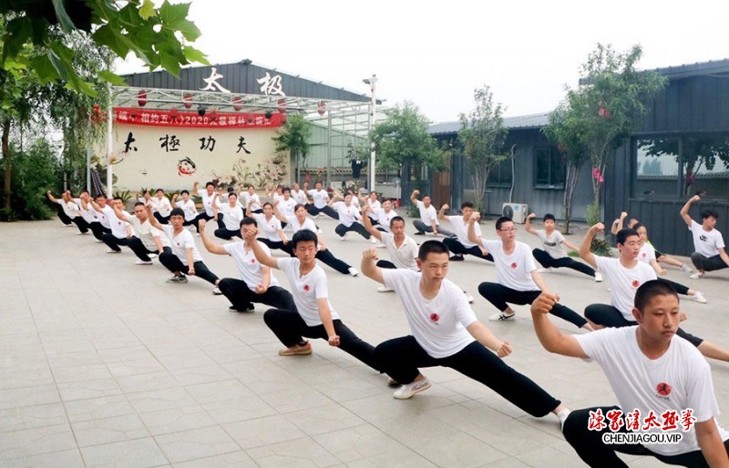 “太极传承 文化永续”入选河北省教育厅“终身学习品牌项目”名单