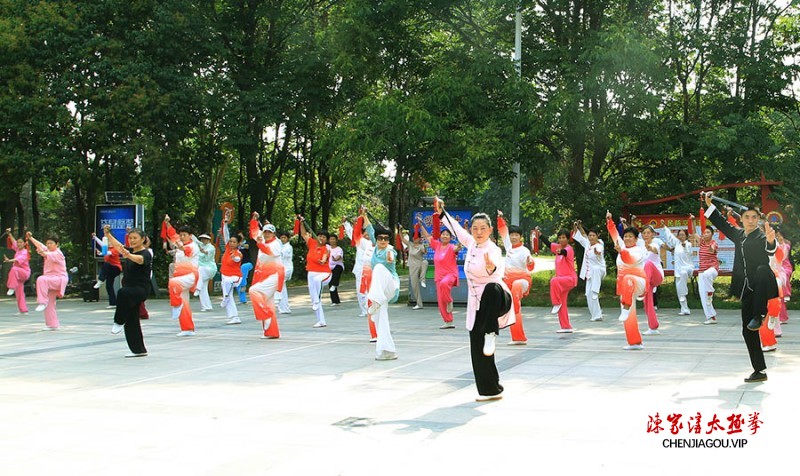 太极名师乔莲洁孟州育精英