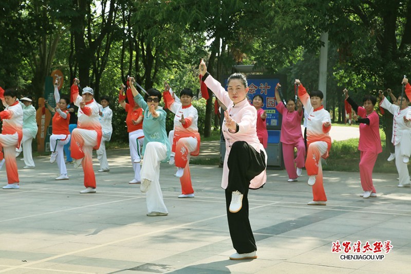 太极名师乔莲洁孟州育精英